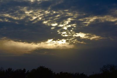 Low angle view of silhouette trees against sky during sunset