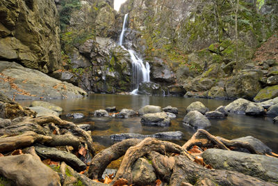 Scenic view of waterfall in forest