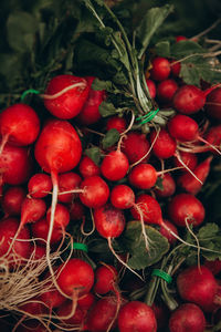 Close-up of tomatoes