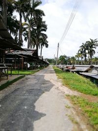 Road amidst palm trees against sky in city