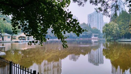 Reflection of trees and buildings in lake