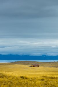 Scenic view of field against sky