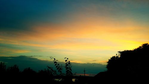 Silhouette plants against dramatic sky during sunset