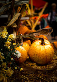 Close-up of pumpkins