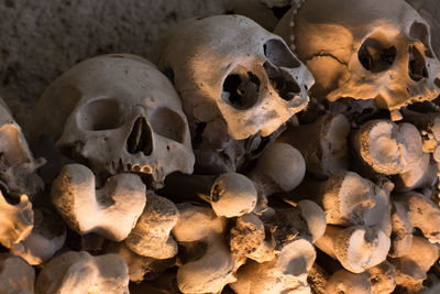 Close-up of human skulls