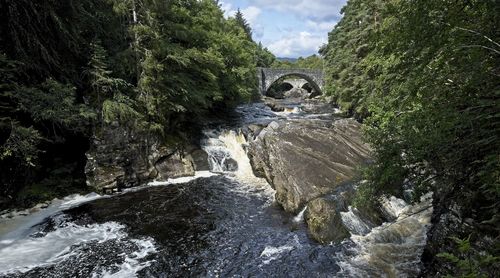 Stream flowing through rocks in forest