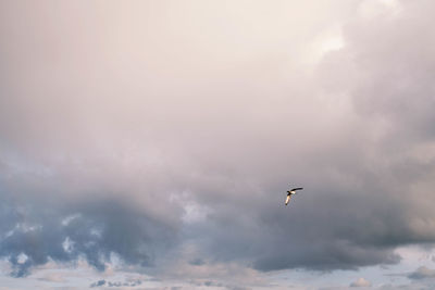 sky