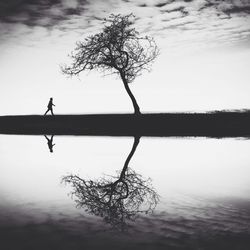 Silhouette of trees against sky