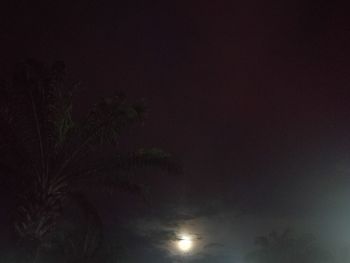 Low angle view of silhouette trees against sky at night