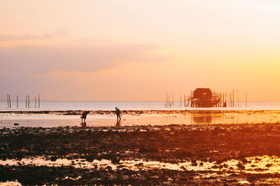 Scenic view of sea against sky at sunset