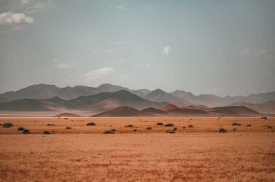 Scenic view of desert against sky