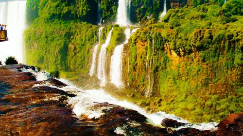 Waterfall in forest