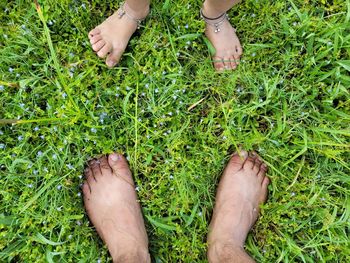 Low section of person standing on grass