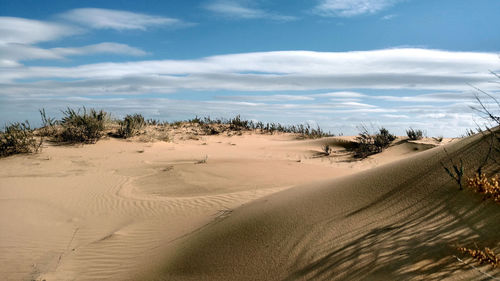 Scenic view of desert against sky