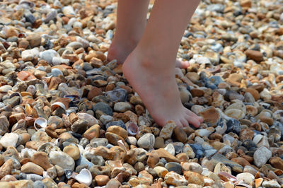 Low section of person standing on stones at beach