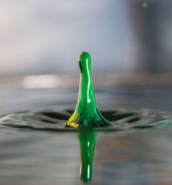 Close-up of water drop