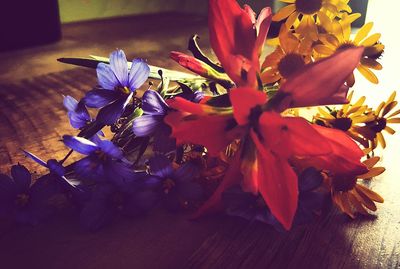 Close-up of flowers