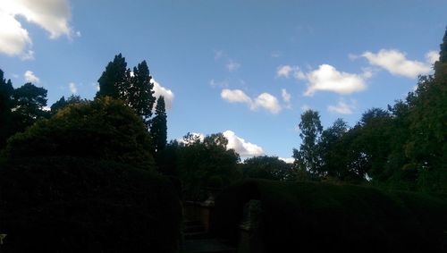 Low angle view of trees in park against sky