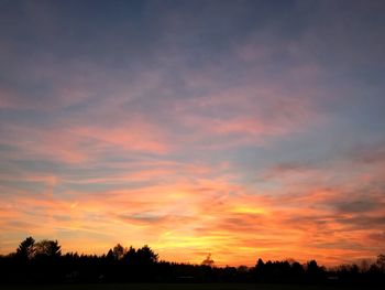 Silhouette trees on field against orange sky