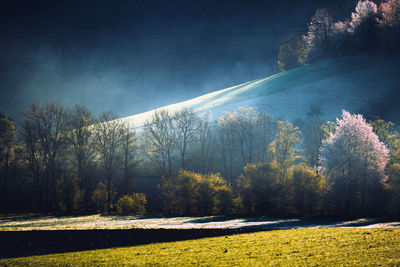 Road amidst trees against sky