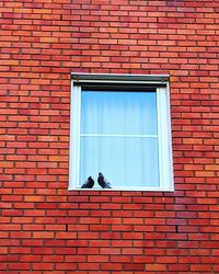 View of a window on brick wall of building