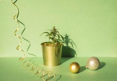 Cannabis branch, marijuana in golden pot with christmas decor, gift box on green festive background