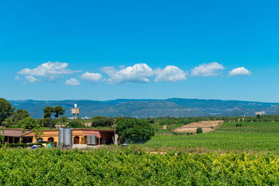 Scenic view of the field by houses against the sky