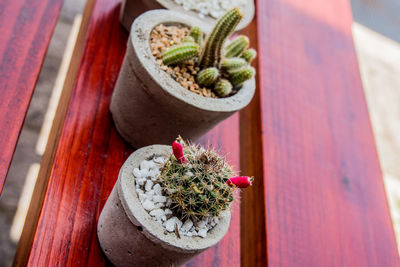 High angle view of potted plants