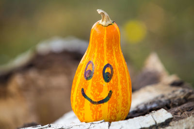 Close-up of pumpkin on wood during halloween