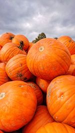 Close-up of pumpkins against sky