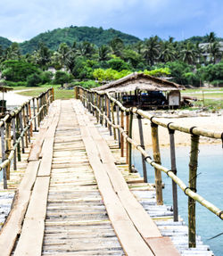 Wooden footbridge on pier amidst trees against sky