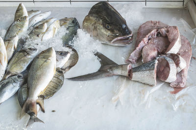 High angle view of fish for sale in market