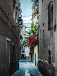 Narrow alley amidst residential buildings