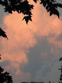 Low angle view of silhouette tree against sky at sunset