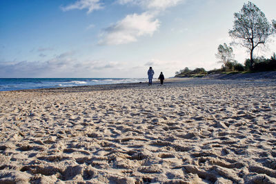 Rear view of people on beach against sky