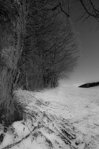 Scenic view of snow covered landscape