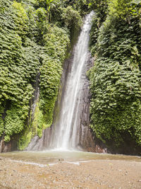 View of waterfall in forest