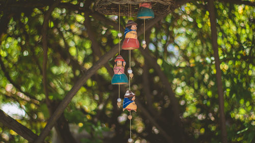 Low angle view of women hanging on tree in forest