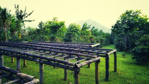 Scenic view of field against clear sky