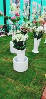 White flower pot on table