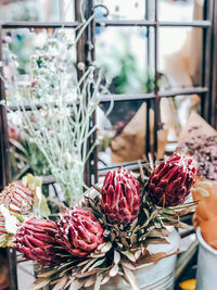 Close-up of red flowers in shop