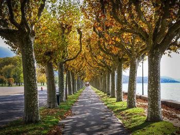 Footpath amidst trees in park during autumn