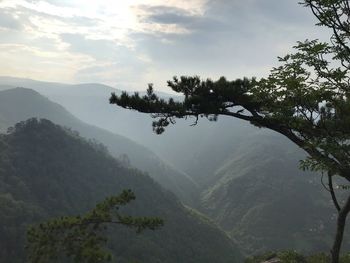 Scenic view of tree mountains against sky