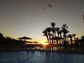 Silhouette birds flying over lake against sky during sunset