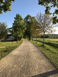 Footpath amidst trees on field against sky