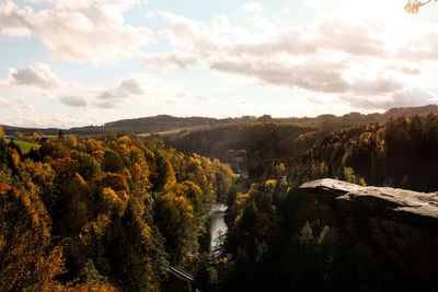 Scenic view of river amidst trees against sky