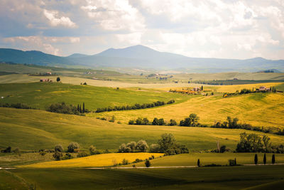 Scenic view of landscape against sky