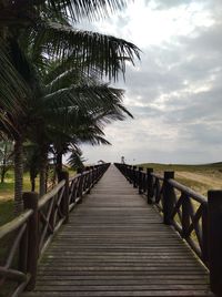 View of wooden boardwalk leading towards palm trees