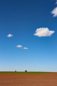 Scenic view of agricultural field against blue sky
