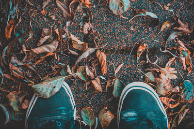 Low section of woman standing by autumn leaves